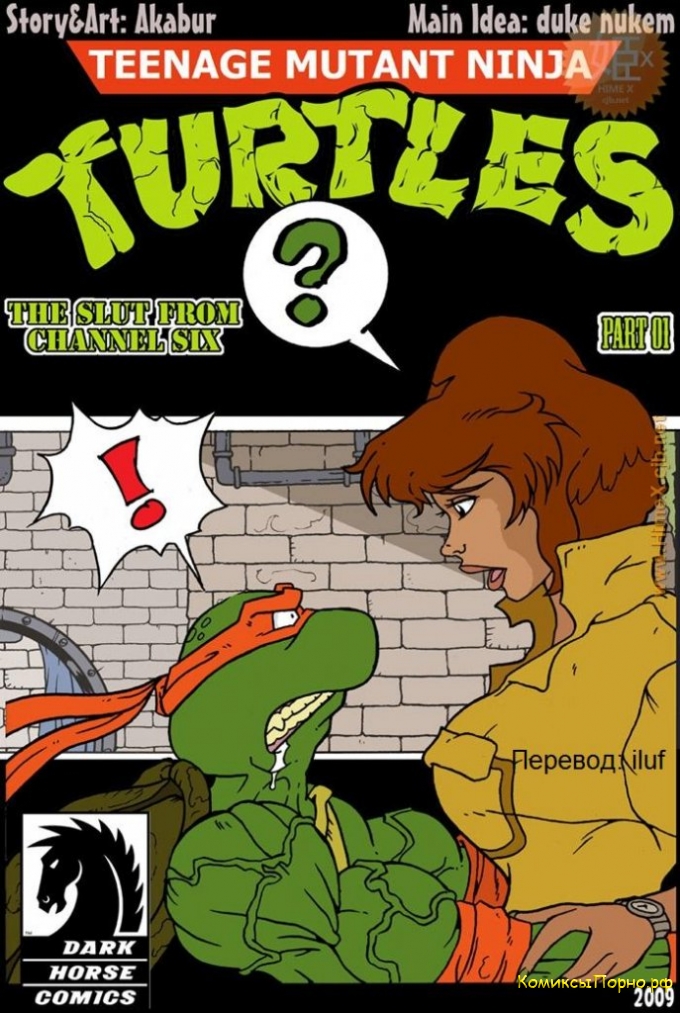 Teenage Mutant Ninja Turtles Porn comics